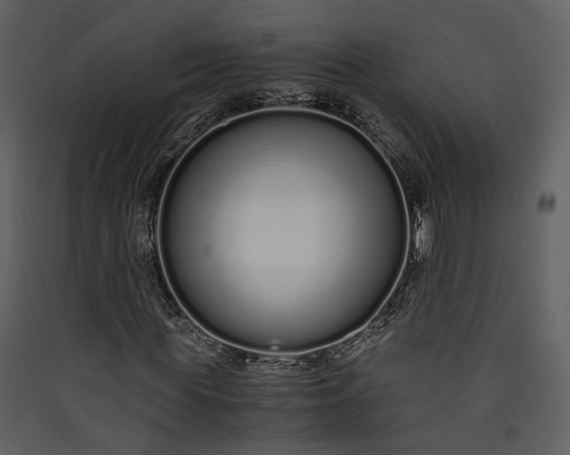 X0000089930819200707131430