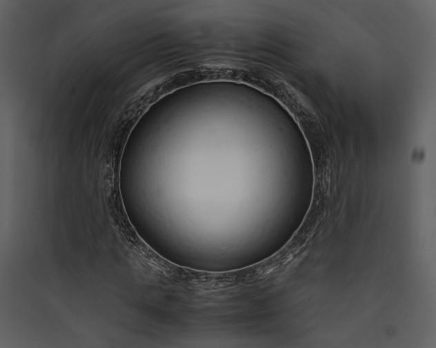 X0000089930821200707131430