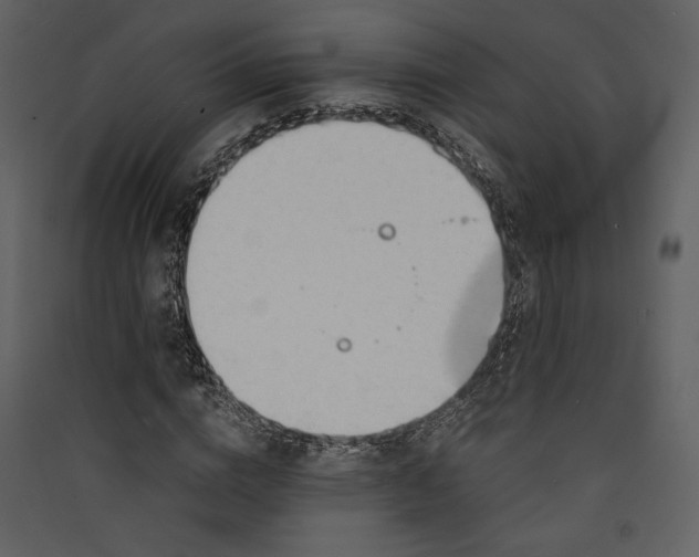 X0000089930824200707131430