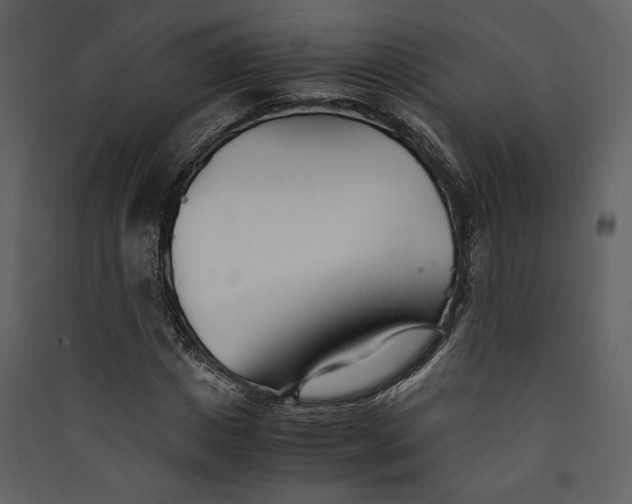 X0000089930825200707131430