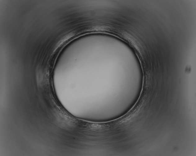 X0000089930827200707131430