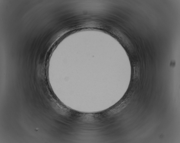 X0000089930828200707131430