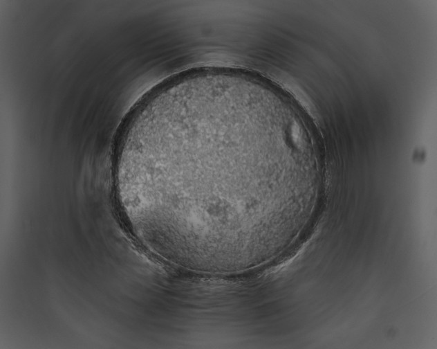 X0000089930829200707131430