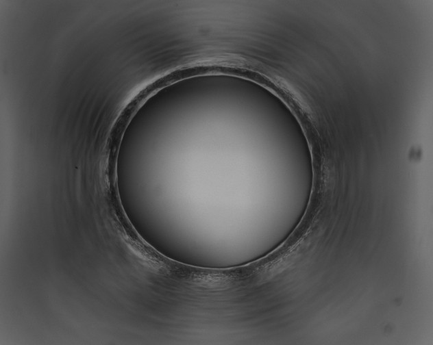 X0000089930830200707131430