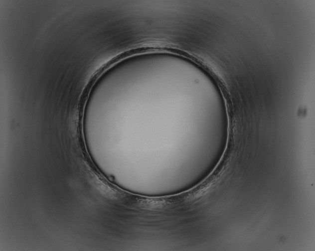 X0000089930831200707131430