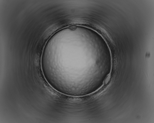 X0000089930833200707131430