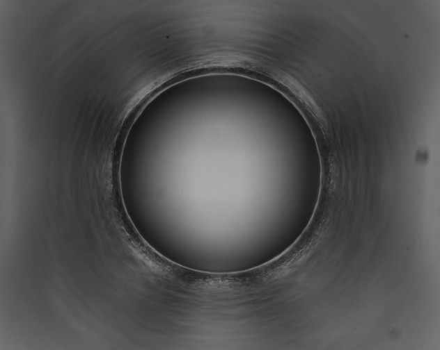 X0000089930834200707131430