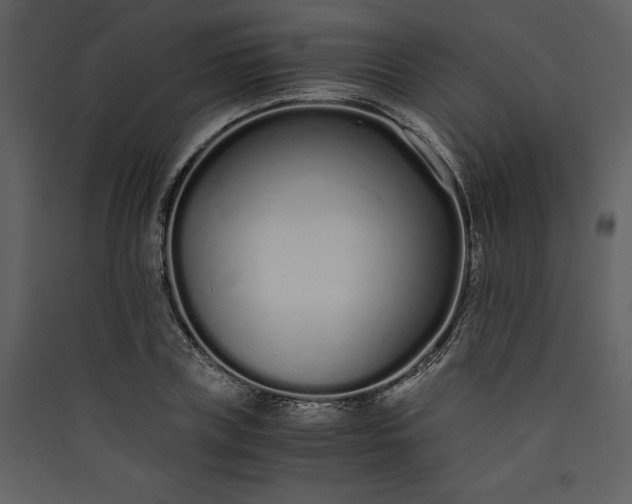 X0000089930835200707131430