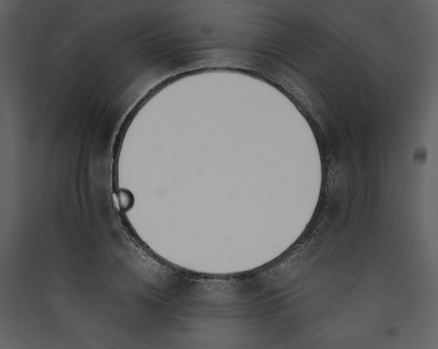 X0000089930836200707131430