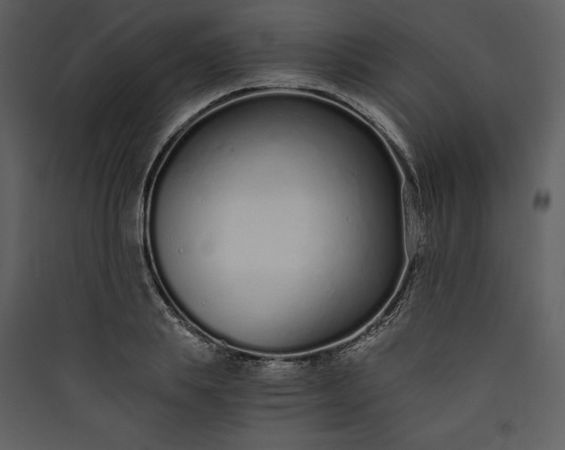 X0000089930839200707131430