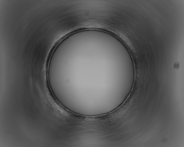 X0000089930840200707131430