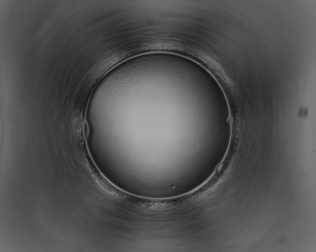 X0000089930841200707131430