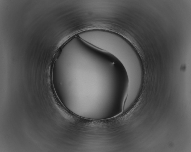 X0000089930842200707131430