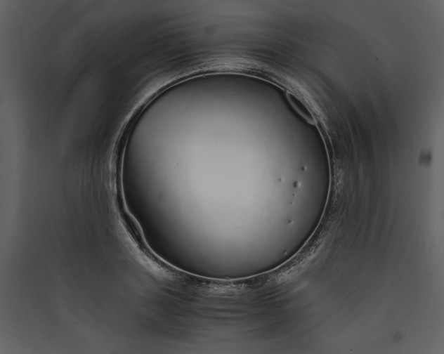 X0000089930843200707131430