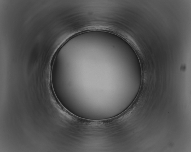 X0000089930844200707131430