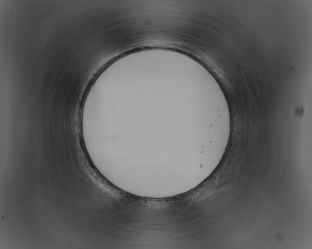 X0000089930848200707131430