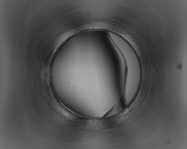 X0000089930850200707131430