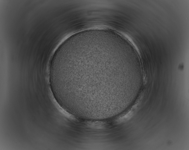 X0000089930851200707131430