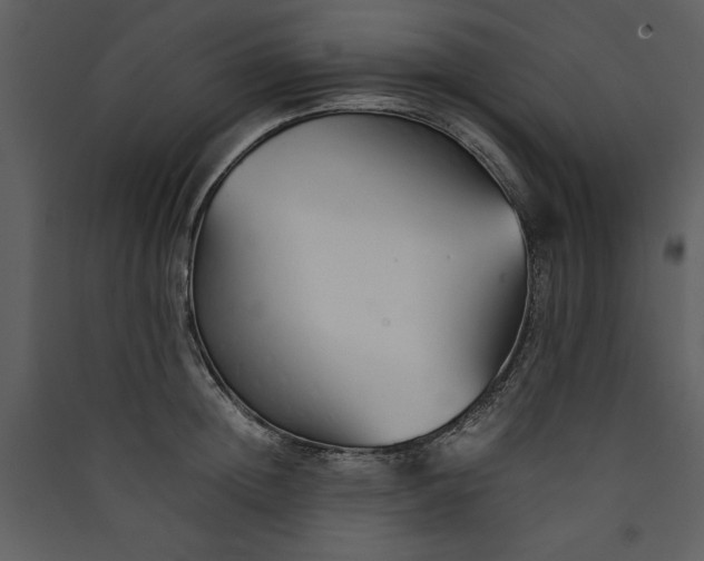 X0000089930852200707131430