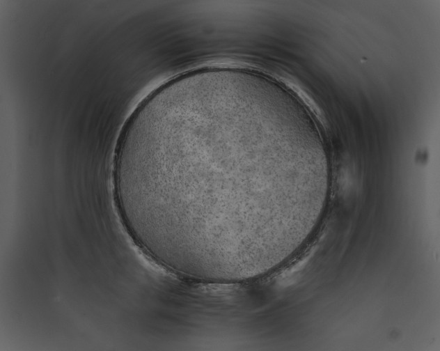 X0000089930853200707131430