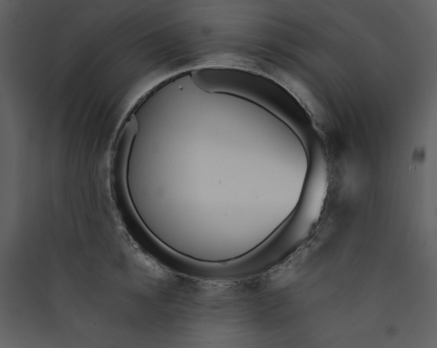 X0000089930854200707131430