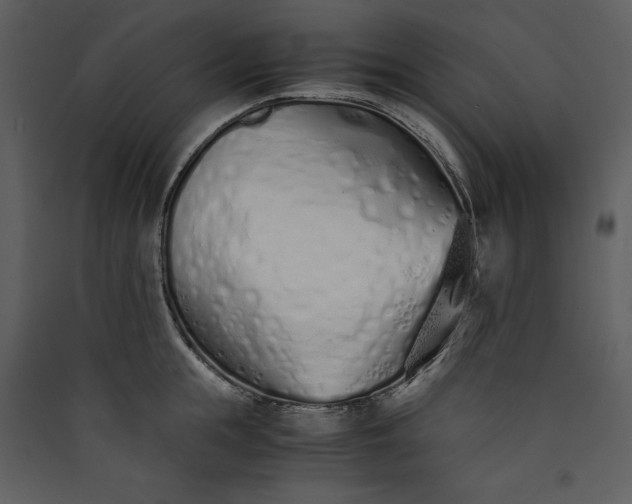 X0000089930855200707131430