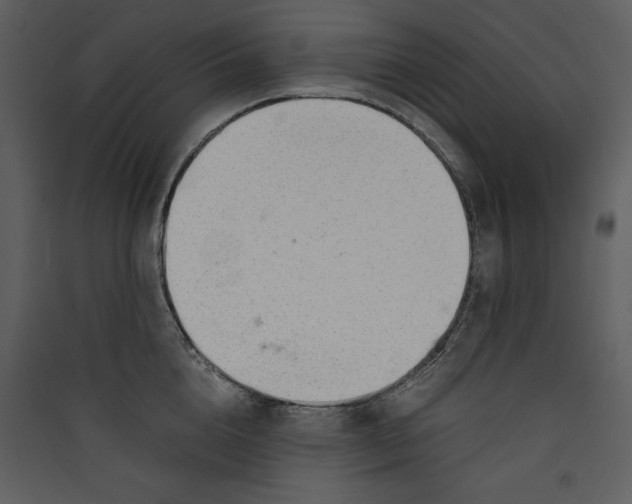 X0000089930856200707131430