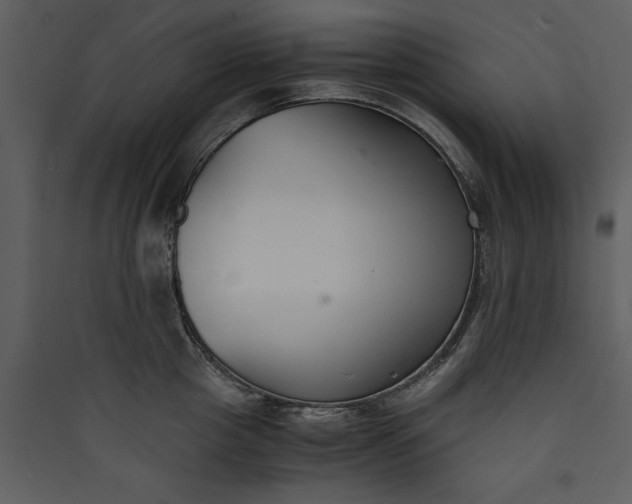 X0000089930857200707131430