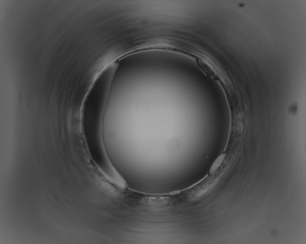 X0000089930858200707131430