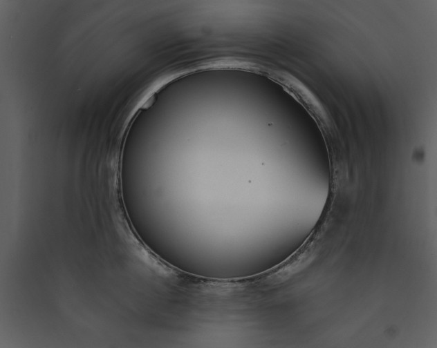 X0000089930860200707131430