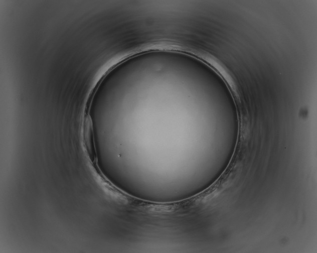 X0000089930861200707131430