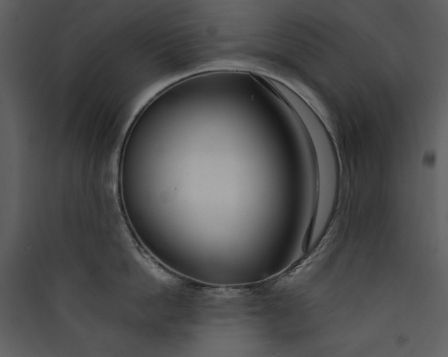 X0000089930862200707131430