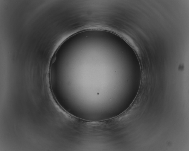 X0000089930863200707131431