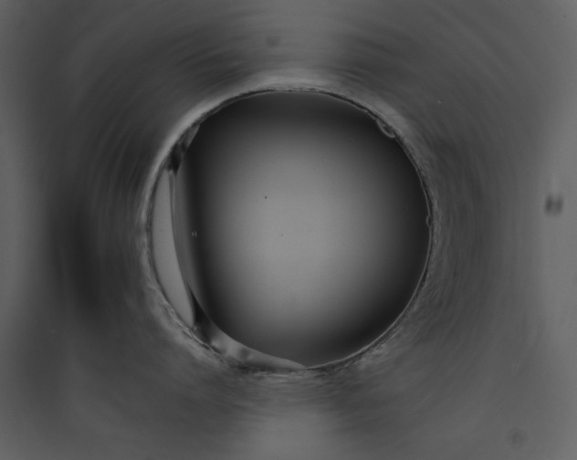 X0000089930864200707131431