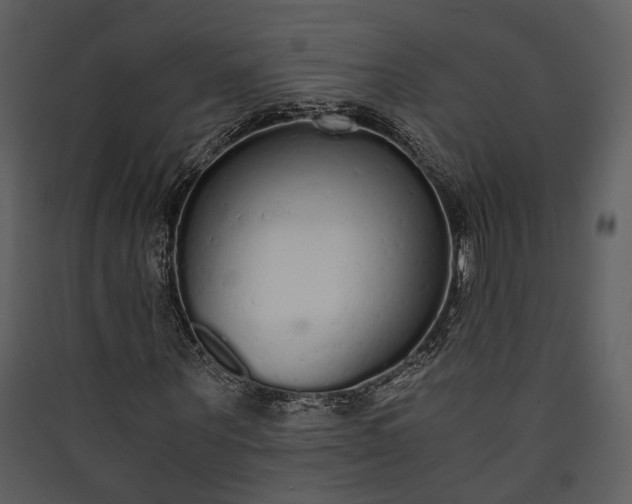 X0000089930867200707131430