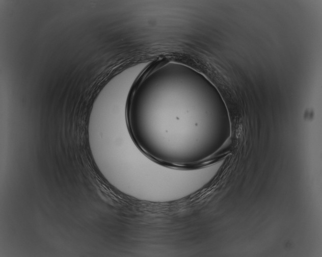 X0000089930868200707131430