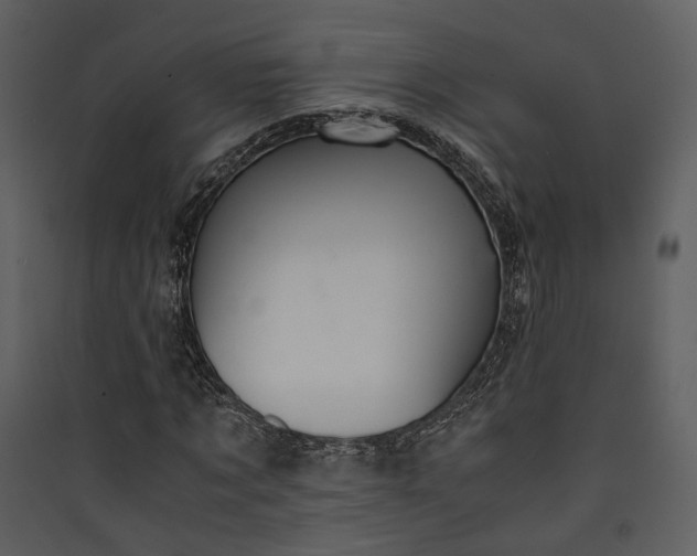 X0000089930869200707131430