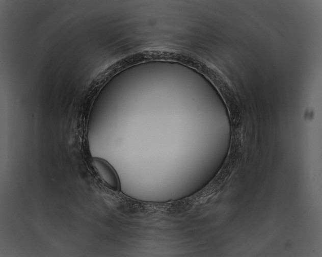 X0000089930870200707131430