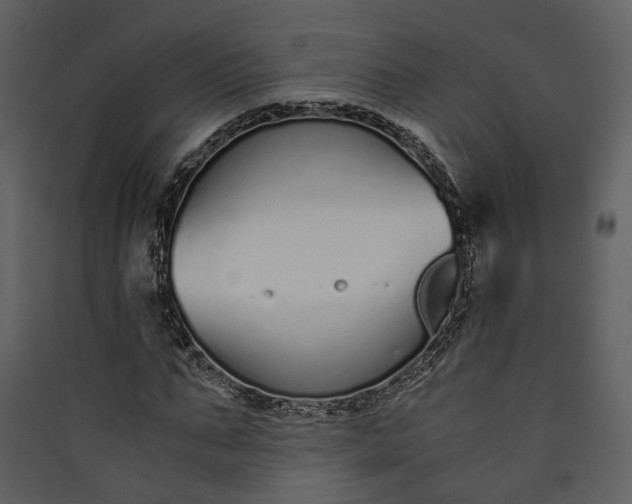 X0000089930871200707131430