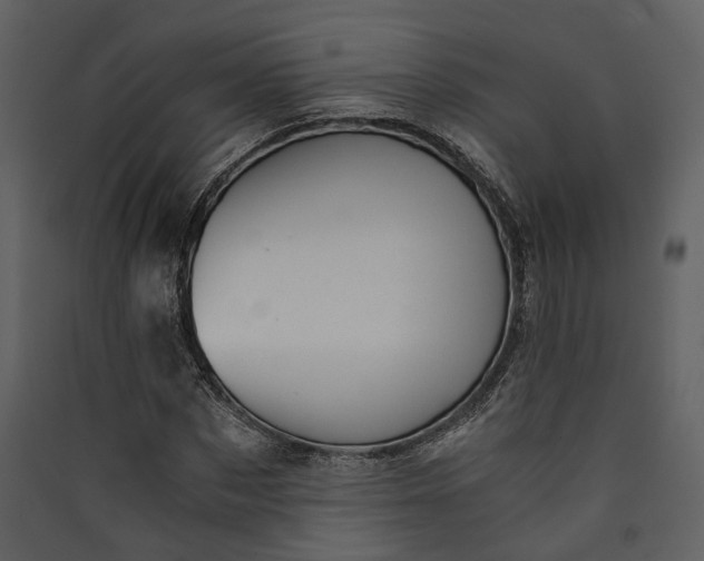 X0000089930873200707131430