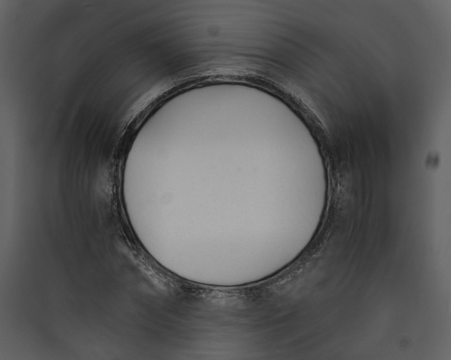 X0000089930874200707131430