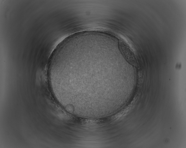 X0000089930875200707131430