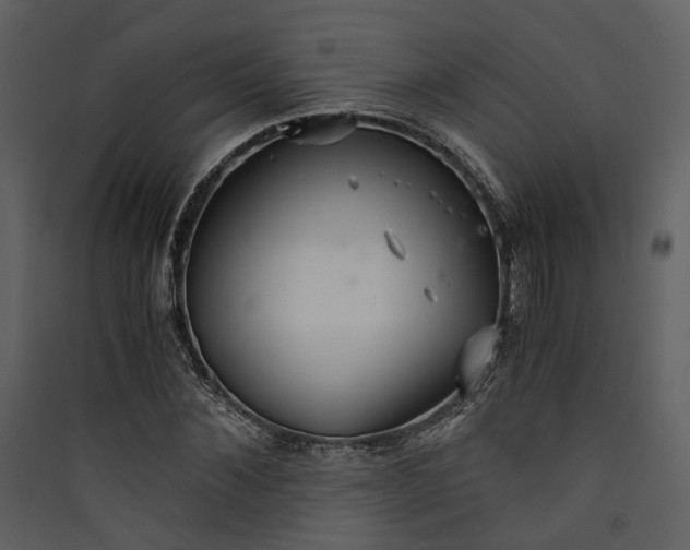 X0000089930876200707131430