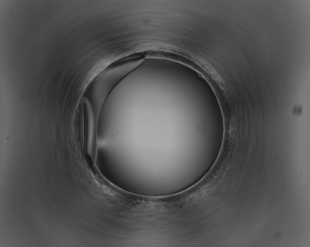 X0000089930877200707131430