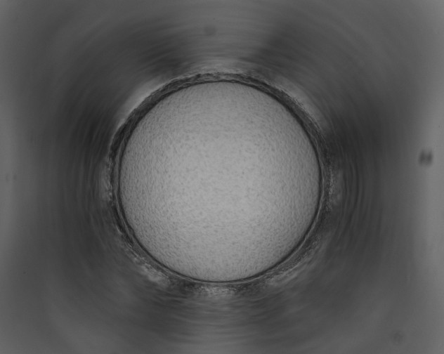 X0000089930878200707131430