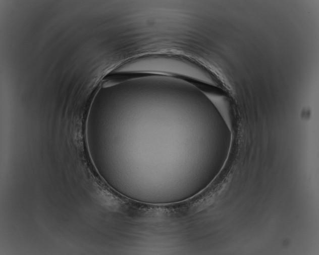 X0000089930881200707131430