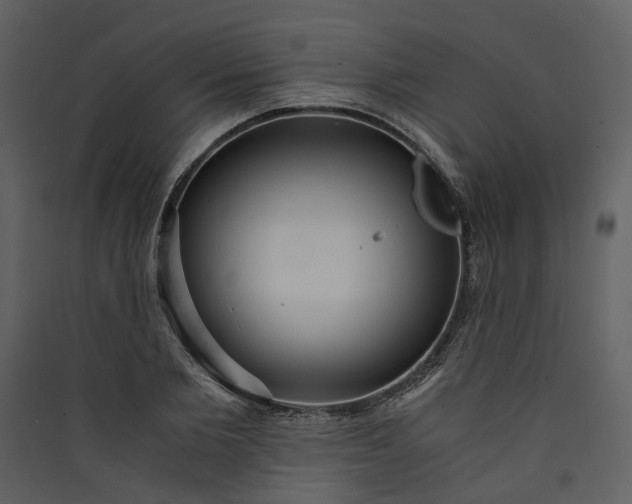 X0000089930885200707131430