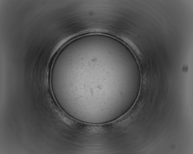 X0000089930886200707131430