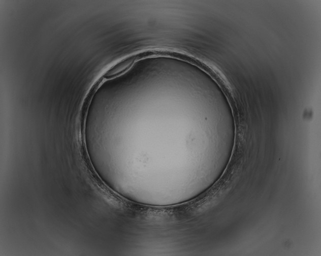 X0000089930887200707131430