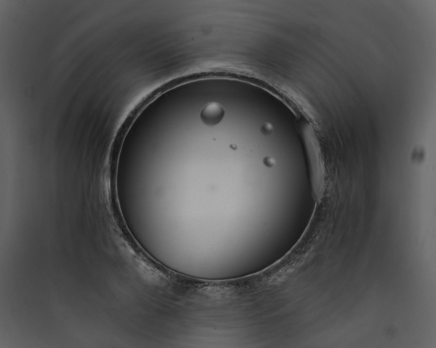 X0000089930888200707131430